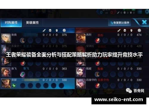 王者荣耀装备全面分析与搭配策略解析助力玩家提升竞技水平
