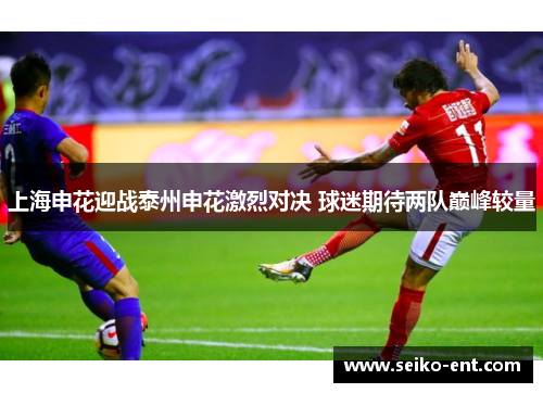 上海申花迎战泰州申花激烈对决 球迷期待两队巅峰较量