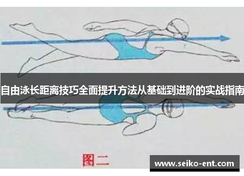自由泳长距离技巧全面提升方法从基础到进阶的实战指南