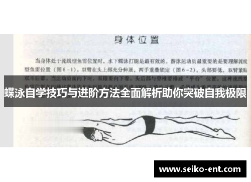 蝶泳自学技巧与进阶方法全面解析助你突破自我极限